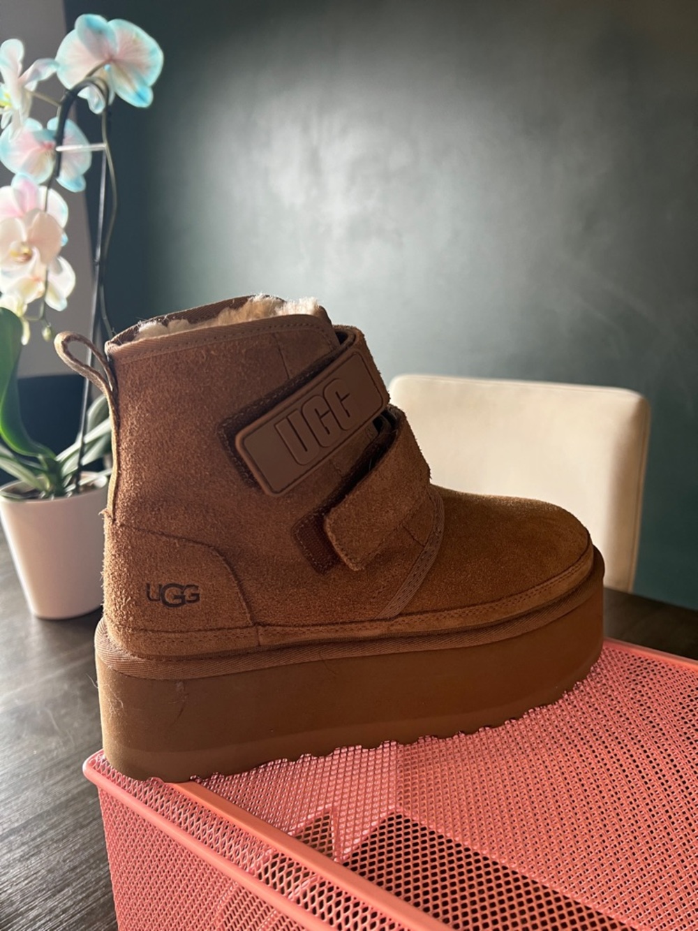 UGG Womens Chestnut Suede Platform Boot with Shearling